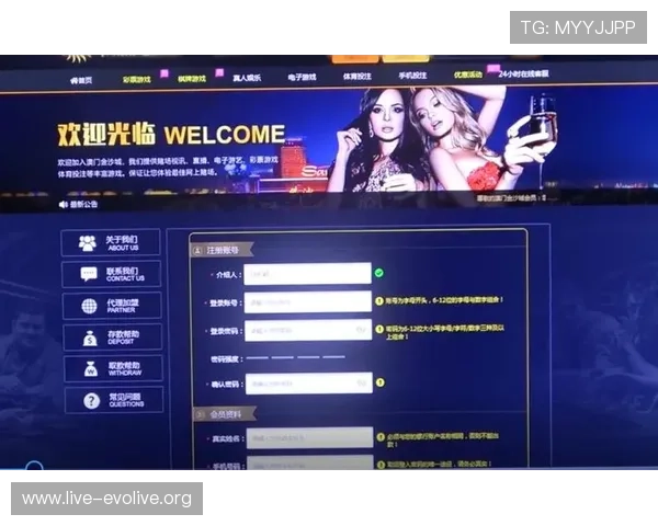 百家樂娛樂城平台正规合法运营,保障玩家资金安全与公平游戏环境 百家樂娛樂城平台正规合法运营,保障玩家资金安全与公平游戏环境