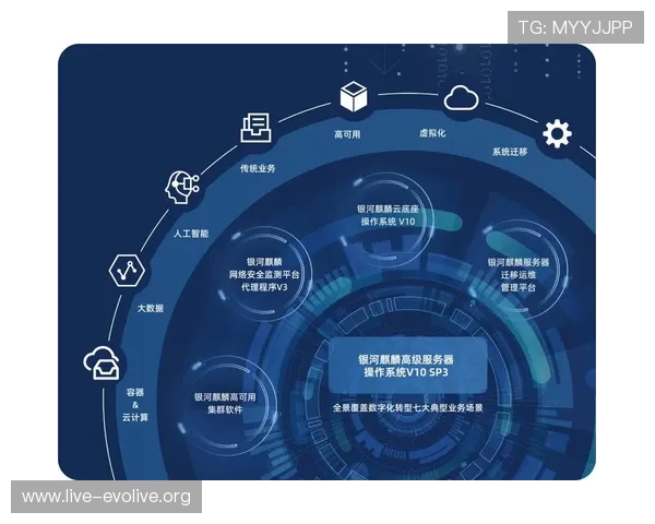确保AG视讯平台安全的接口设计原则与常见安全漏洞防范策略