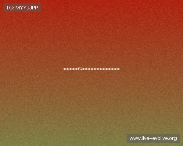 体育新闻平台全面支持PG娱乐真人版全站登录助力世界杯赛事报道实时更新更便捷